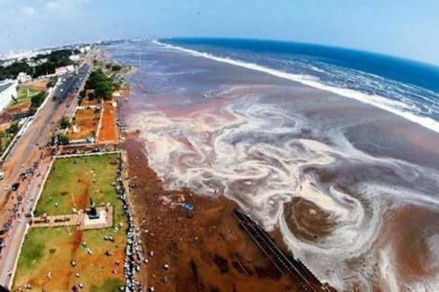 Marina Beach_1
